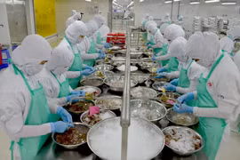 Chế biến thủy sản xuất khẩu tại Công ty thủy sản Trung Sơn. (Ảnh: Bùi Như Trường Giang/TTXVN)