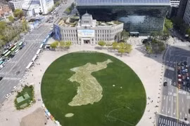  Vườn hoa được trồng theo hình Bán đảo Triều Tiên tại thủ đô Seoul, Hàn Quốc nhằm chào đón Hội nghị thượng đỉnh liên Triều lần thứ ba. (Nguồn: Kyodo/TTXVN)