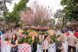 (Ảnh minh họa. Minh Sơn/Vietnam+)