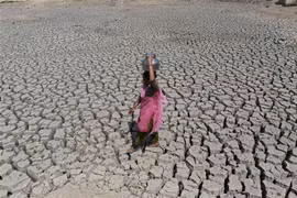 Cảnh hạn hán tại Ahmedabad, Ấn Độ. (Nguồn: AFP/TTXVN)