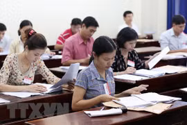 (Ảnh chỉ có tính minh họa. Phương Vy/TTXVN)