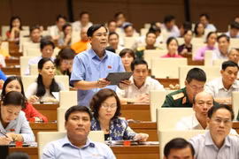 Đại biểu Quốc hội tỉnh Thái Nguyên Hoàng Văn Hùng chất vấn. (Ảnh: Doãn Tấn/TTXVN)