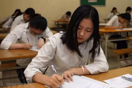 (Ảnh minh họa. Thanh Tùng/TTXVN)