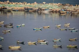 Thuyền đánh bắt cá tại Gaza. (Nguồn: timesofisrael.com)