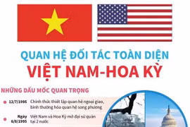 [Infographics] Quan hệ Đối tác toàn diện Việt Nam-Hoa Kỳ