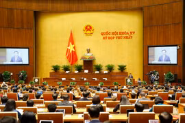 Chủ tịch Quốc hội khóa XIV Vương Đình Huệ phát biểu khai mạc. (Ảnh: Doãn Tấn - TTXVN)