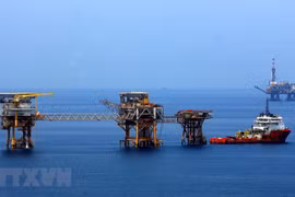 Các giàn khoan khai thác dầu khí của Liên doanh Vietsovpetro tại mỏ Bạch Hổ. (Ảnh: Huy Hùng/TTXVN) 