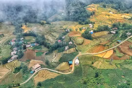 Thung lũng Mường Hoa, Sapa mùa nước đổ. (Ảnh: Xuân Mai/Vietnam+) 