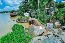 Ảnh minh họa. (Nguồn: TTXVN)