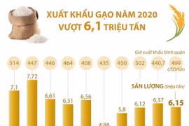 [Infographics] Năm 2020 xuất khẩu gạo của cả nước vượt 6,1 triệu tấn