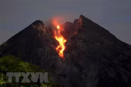 Ảnh minh họa.(Nguồn: THX/TTXVN)
