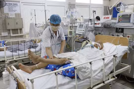 Ảnh minh họa. (Ảnh: PV/Vietnam+)