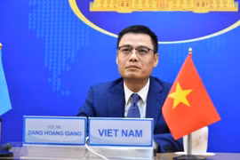 Thứ trưởng Ngoại giao Đặng Hoàng Giang. (Ảnh: TTXVN phát) 