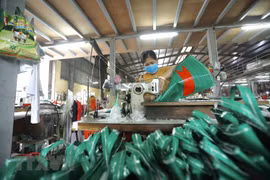 Dây chuyền sản xuất bao bì đựng thức ăn gia súc tại Công ty TNHH Tân Trang (Hà Nội). (Ảnh: TTXVN) 