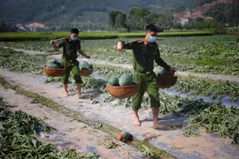 Hình ảnh những chiến sỹ công an hăng hái giúp dân dưới thời tiết nắng nóng khắc nghiệt trở nên thân thương trong chiến dịch phòng chống dịch của tỉnh Bắc Giang và cả nước. (Ảnh: Danh Lam/TTXVN) 