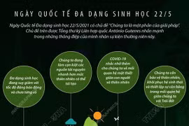 Thực hiện phun khử khuẩn khu vực bầu cử tại Khu cách ly tập trung Trung tâm Y tế quận Gò Vấp. (Ảnh: Đinh Hằng/TTXVN)