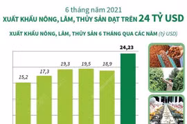 [Infographics] Xuất khẩu nông, lâm, thủy sản đạt trên 24 tỷ USD