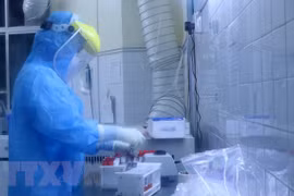 Xét nghiệm mẫu bệnh phẩm liên quan đến virus SARS-CoV-2. (Ảnh: Minh Thu/TTXVN)