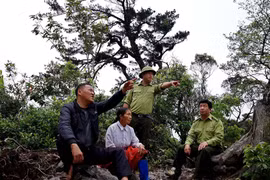 Vợ chồng ông Khà A Lứ cùng cán bộ Ban quản lý Khu Bảo tồn thiên nhiên kiểm tra rừng được giao. (Ảnh: Thanh Hải/TTXVN)