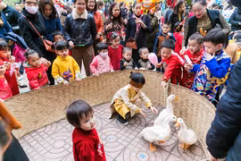 Chơi các trò chơi dân gian, gói bánh chưng… là những hoạt động được các trường trên địa bàn tỉnh Nghệ An tổ chức. (Ảnh: Bích Huệ/TTXVN)