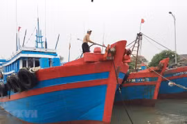 Người dân chằng buộc, neo tàu chắc chắn vào bờ để chống bão. (Ảnh: Nguyễn Oanh/TTXVN)