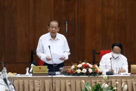 Phó Thủ tướng Thường trực Chính phủ Trương Hoà Bình phát biểu kết luận buổi làm việc. (Ảnh: Xuân Tình/TTXVN)