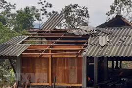 Ảnh chỉ có tính minh họa. (Nguồn: TTXVN)