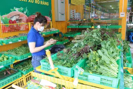 Phong phú mặt hàng rau xanh tại Cửa hàng Điện máy xanh thành phố Cao Lãnh trong ngày đầu giãn cách xã hội ở Đồng Tháp. (Ảnh : Nguyễn Văn Trí/TTXVN)