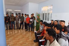 Khởi tố, bắt tạm giam các đối tượng phá rừng tại Khu Bảo tồn thiên nhiên Ea Sô (Đắk Lắk). (Ảnh: TTXVN phát)
