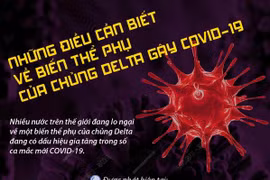 Những điều cần biết về biến thể phụ của chủng Delta gây COVID-19