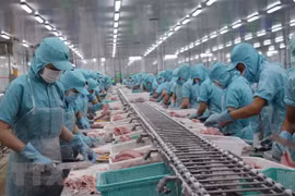 Chế biến cá tra xuất khẩu tại nhà máy ở tỉnh Đồng Tháp. (Ảnh: TTXVN)