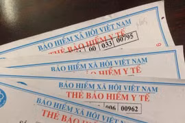 (Nguồn: Vietnam+)