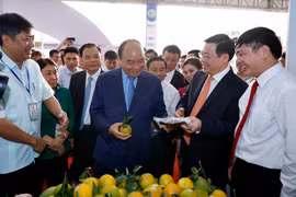 Thủ tướng Nguyễn Xuân Phúc và các đại biểu tham quan các gian hàng trưng bày tại triển lãm. (Ảnh: Thống Nhất/TTXVN)