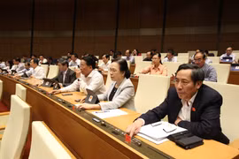 Phiên họp của Quốc hội. (Ảnh: TTXVN)