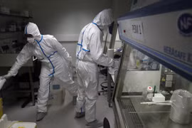 Xét nghiệm mẫu bệnh phẩm tại Viện Pasteur ở Paris. (Ảnh: AP)