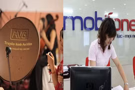 Sự kiện trong nước 28/5-3/6: AVG và luật về đặc khu kinh tế
