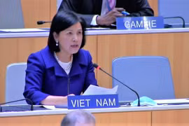 Đại sứ Lê Thị Tuyết Mai. (Ảnh: Tố Uyên/TTXVN)