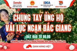 Hình ảnh vải thiều được quảng bá trên các trang thương mại điện tử. (Ảnh: TTXVN)