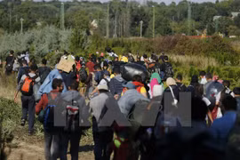 Người di cư tại khu vực biên giới Hungary-Croatia. (Nguồn: Reuters/TTXVN)