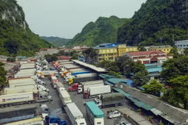 Xe chở nông sản chờ xuất hàng qua cửa khẩu Tân Thanh (Lạng Sơn). (Ảnh: Hoàng Hùng/TTXVN)