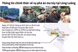 Thông tin chính thức về vụ phá án ma túy tại Lóng Luông