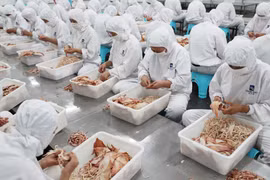 Chế biến hải sản xuất khẩu tại nhà máy ở thành phố Liên Vận Cảng, tỉnh Giang Tô, Trung Quốc ngày 5/7. (Nguồn: AFP/ TTXVN)