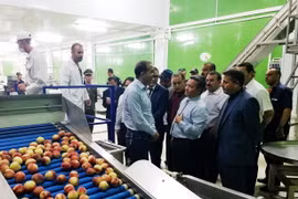 Đoàn công tác đến thăm một doanh nghiệp địa phương, chuyên về chế biến và xuất khẩu nông sản với nhiều mặt hàng chủ lực gồm các loại rau- củ, khoai tây, táo, tỏi... (Ảnh: Tấn Đạt/TTXVN)