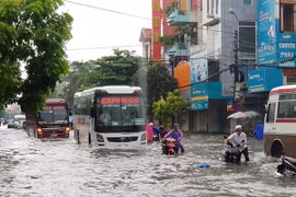 (Ảnh minh họa: Hoàng Ngọc/TTXVN)