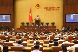 Bộ trưởng Bộ Lao động,Thương binh và Xã hội Đào Ngọc Dung trả lời chất vấn. (Ảnh: Doãn Tấn/TTXVN)