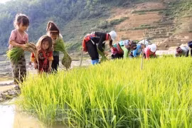 (Ảnh minh hoạ: TTXVN)