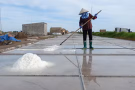 Diêm dân Bạch Long chật vật bám nghề muối của quê hương 
