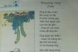 Chủ biên sách giáo khoa "trần tình" về bài thơ “Thương ông" 