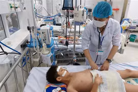 Ảnh minh họa. (Ảnh: Công Thử/TTXVN)