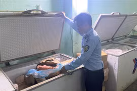Cơ quan chức năng tỉnh Phú Yên phát hiện nhiều sản phẩm thịt cấp đông không có nguồn gốc xuất xứ tại cơ sở kinh doanh đóng gói thực phẩm Nguyễn Quân. (Ảnh: Tường Quân/TTXVN)